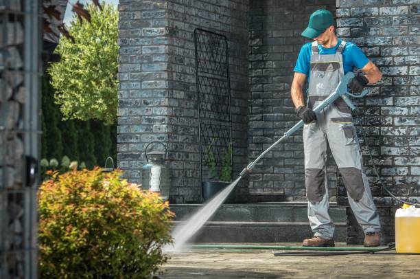 Best Window and Screen Pressure Cleaning in Fayette, AL